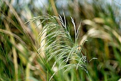 GTAOL：用新的亚班尼布里格姆狩猎幽灵