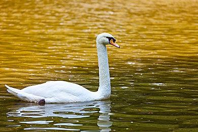 生死一线×动作RPG《夜街酷斗》Steam页面上线 发售日待定